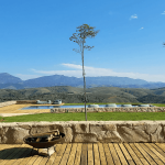 Aluguel Luxo Casa Membeca Petropolis Paraiba Do Sul Rj 6356d7139cac518363d6bef0