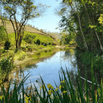 Aluguel Luxo Casa Membeca Petropolis Paraiba Do Sul Rj 6356d719d6eb6842f911eb7c