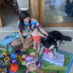 0DC9E782 E477 42FF A6B5 30478BE55EE3