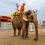 0_Foto Da Exposicao Fragmentos De Viagem C