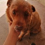 328150477_924489848969846_5367110165076533176_n