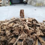 328558024_1275576099694293_601583502041997824_n