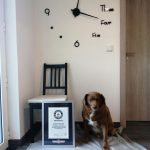 328568660_514105860865051_9037424580250034735_n