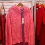 Bate Papo Com Carol Bezerra (3)