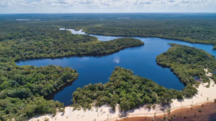 PARQUE NACIONAL DE ANAVILHANAS Praia Grande CLOVIS MIRANDA