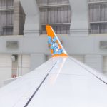 737 800 GOL Linhas Aereas Monica 16 1024x683