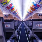 737 800 GOL Linhas Aereas Monica 22 1024x683