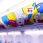 737 800 GOL Linhas Aereas Monica 24 1024x683