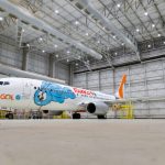 737 800 GOL Linhas Aereas Monica 28 1024x683