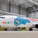 737 800 GOL Linhas Aereas Monica 29 1024x683