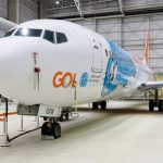 737 800 GOL Linhas Aereas Monica 30 1024x683