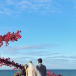 8DE72A9E 562E 4389 834A 4DC06FB67C64