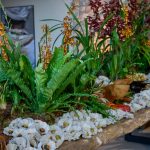 Casamento Gil Santos E Denise Bezerra (6)