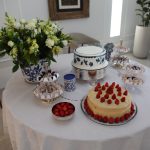 91 Anos Cleidson Rangel (9)