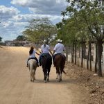 E614F712 3CED 4256 85E4 584422E44717