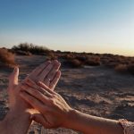 54EDEBBB FA0E 416D BC01 9598ED996D01