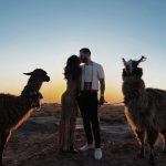 D92F1DD8 DCCA 4CE2 BB11 04C2D9384834