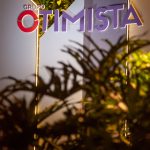 Lançamento Literário De Pedro Ariel Na CasaCor Inicia Comemorações De Quatro Anos Do Grupo Otimista013