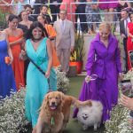 Casamento De Marcelle Parahyba E João Pedro Brandão (223)