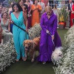 Casamento De Marcelle Parahyba E João Pedro Brandão (225)