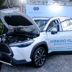 Coquetel Newland (12)