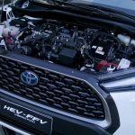 Coquetel Newland (13)