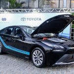 Coquetel Newland (2)