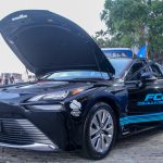 Coquetel Newland (4)