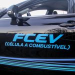 Coquetel Newland (7)