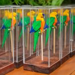 Origanonimo Por Fabio Yamaji