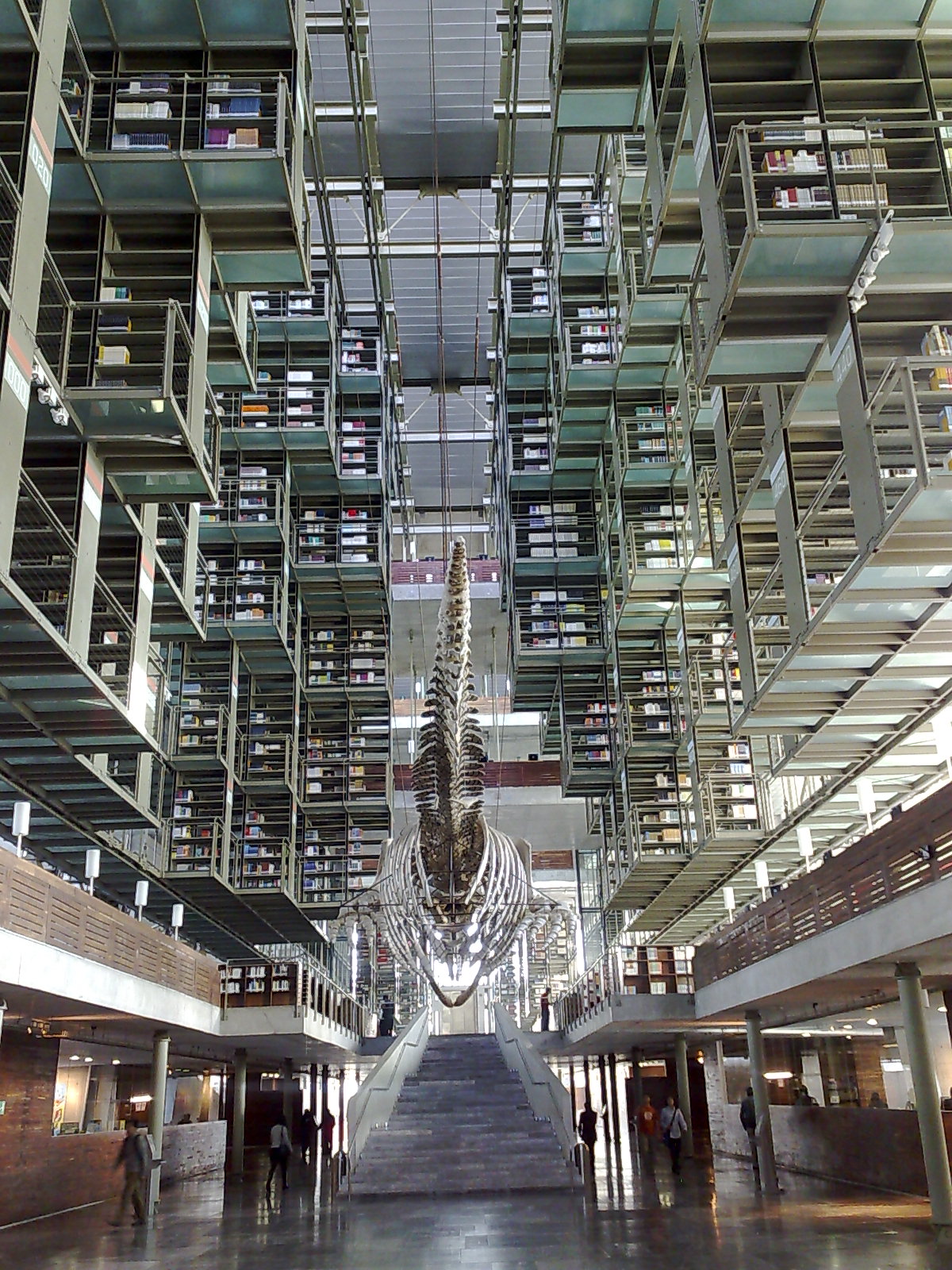 Vasconcelos_library