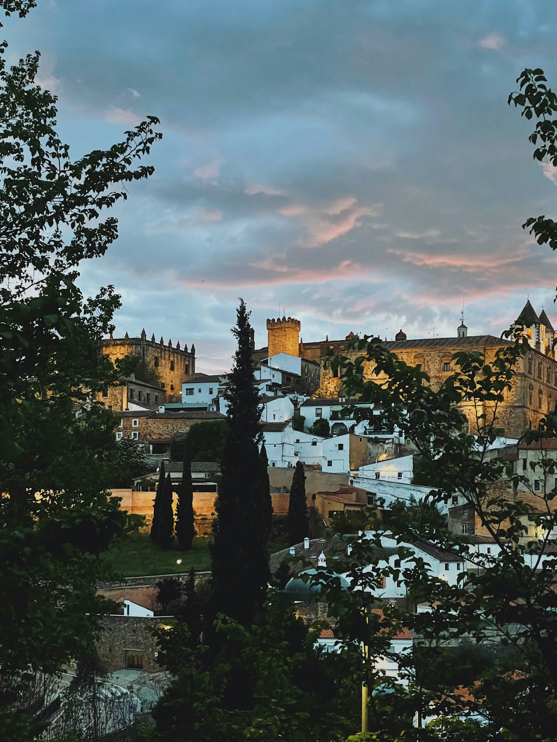 David Gil De La Canal WtM7X8hbfVE Unsplash