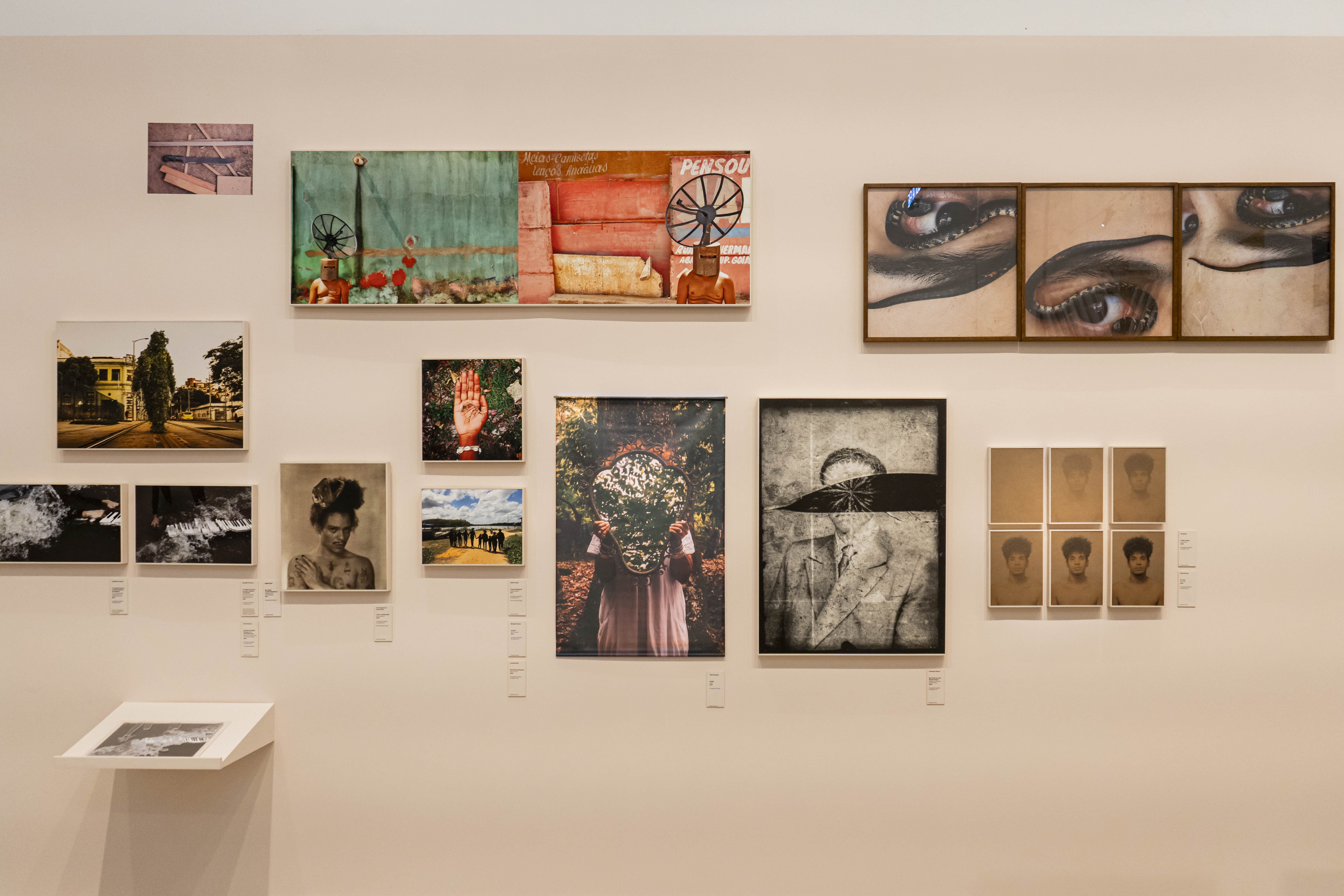 20241219_EXPOSIÇÃO_expografia Delírio Tropical_Marília Camelo35