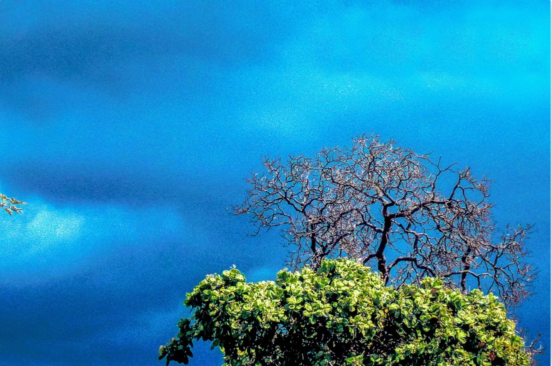 WhatsApp Image 2025 03 31 At 15.31.26 (1)