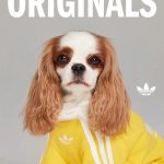 20250520113825822 976