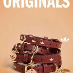 20250520113926269 915