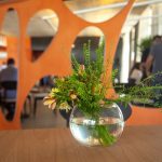 BSPAR Entrega O Loteamento BS Gran Parc (19)