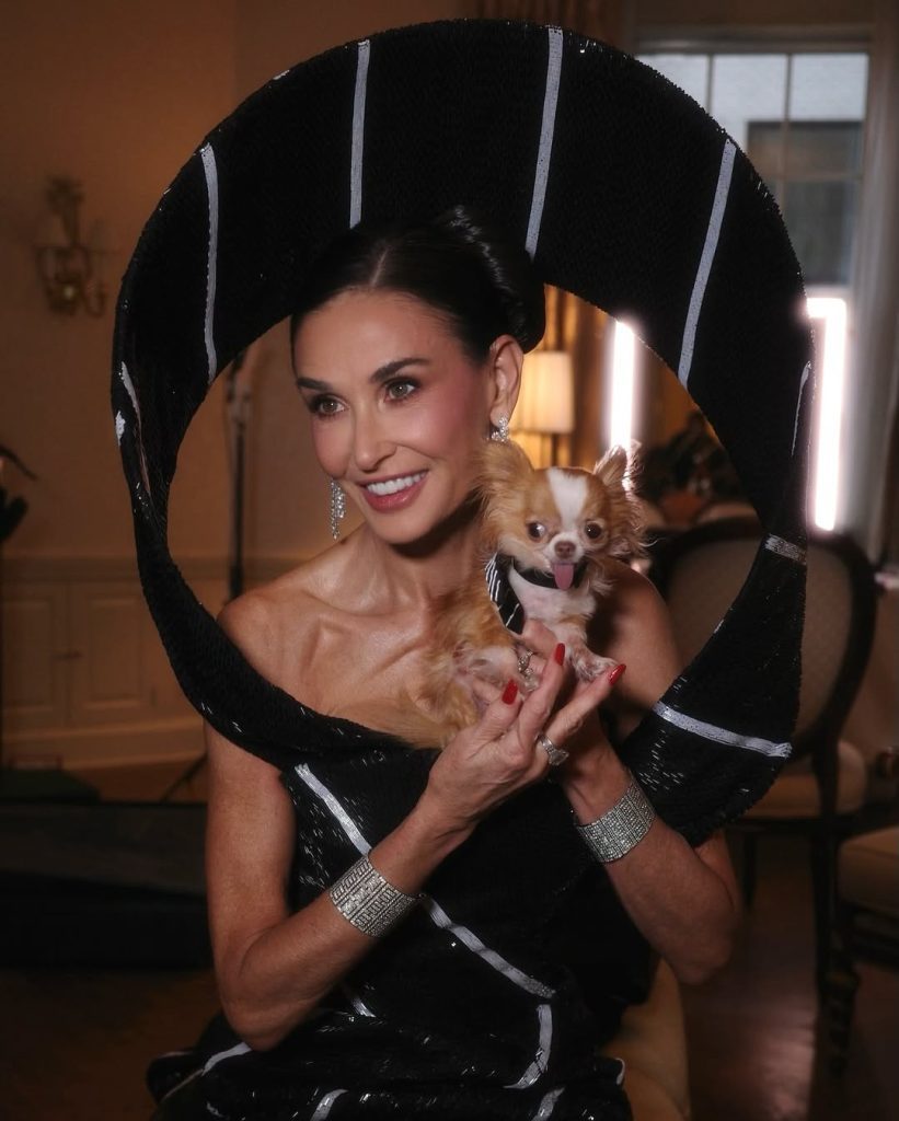 Snapins Ai_3626282669894625829