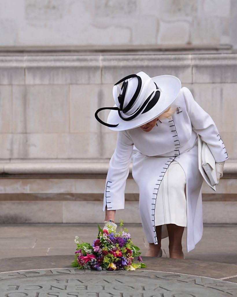 Snapins Ai_3628024650773064978