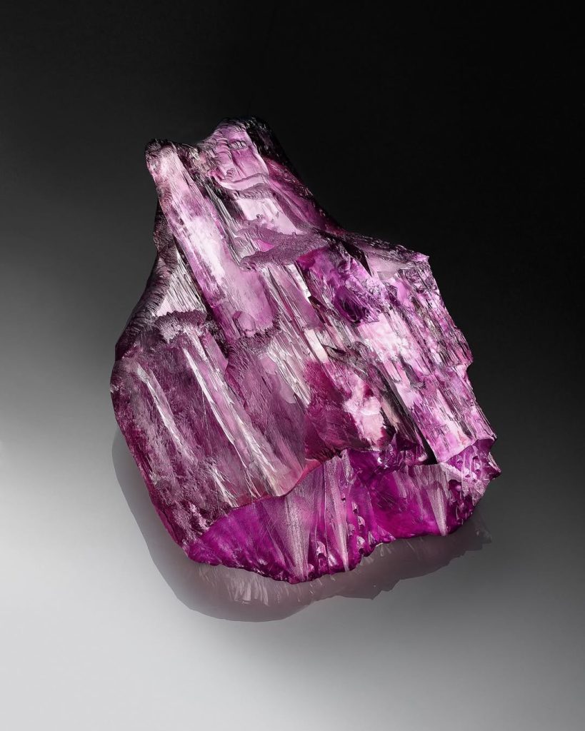 Snapins Ai_3638352126038401205