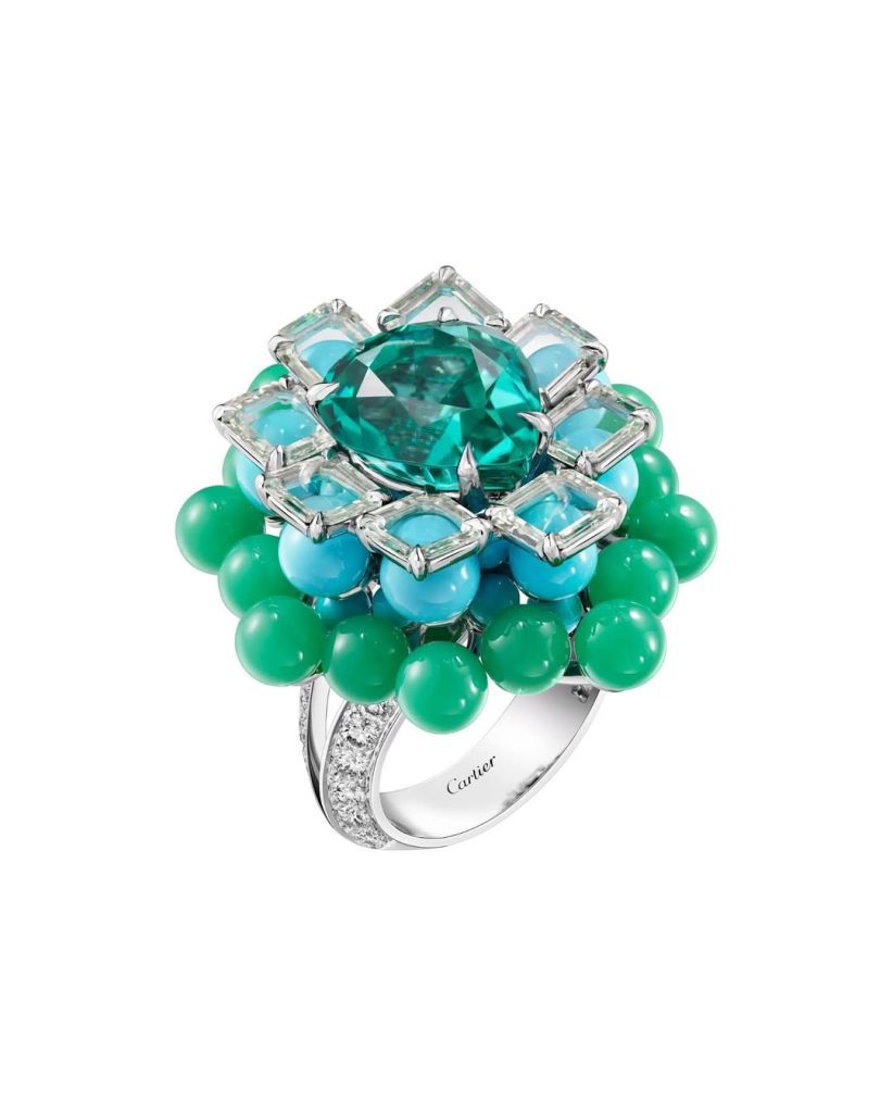 Snapins Ai_3641039246824127406