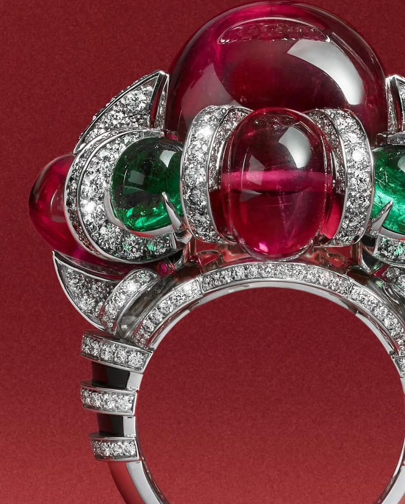 Snapins Ai_3641039246824174214