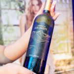 Revista Tapis Rouge Iguatemi Bosque Dani Gondim 3444