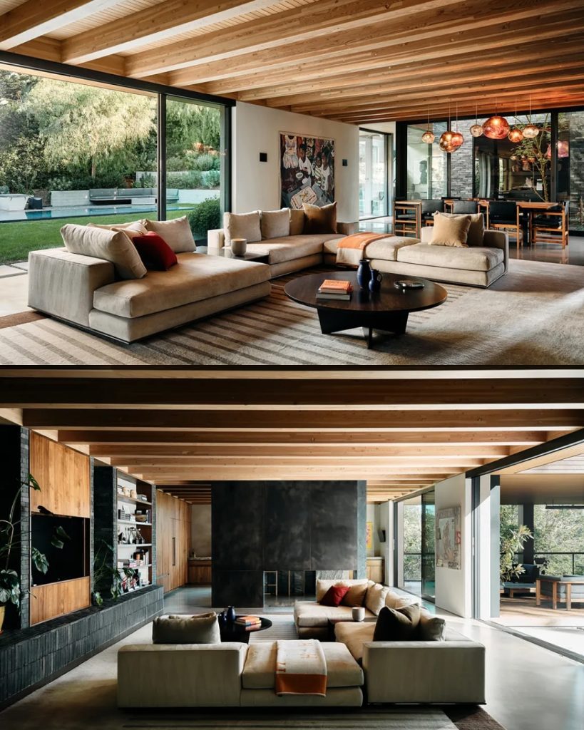 Snapins Ai_3653567551268445354