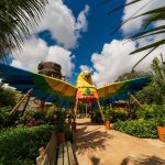 Imagem Do WhatsApp De 2025 07 23 à(s) 17.43.48_af0ba7de