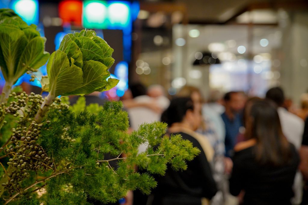 Noite Cultural   Soho 2