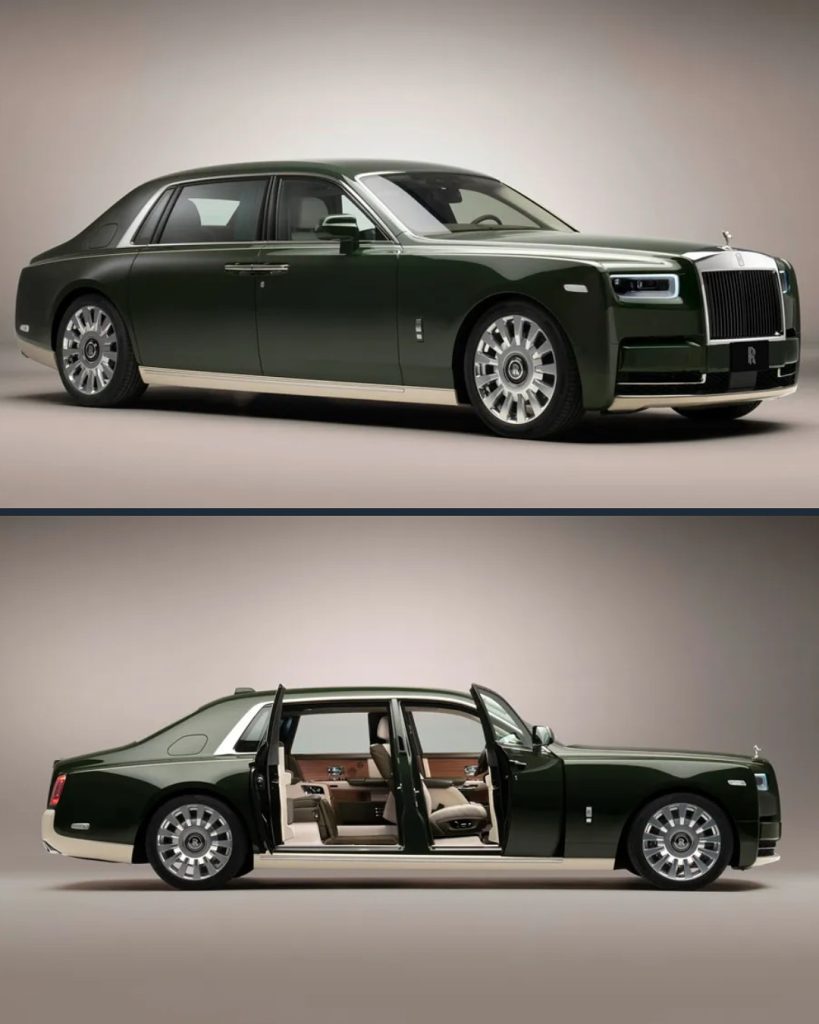 SaveClip.App_518741700_18523997029012543_6718478622852171026_n