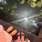 Gioewbank_1751653338521