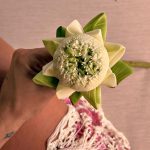 Gioewbank_1751653344932