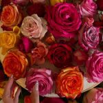 Kyliejenner_1753721439756